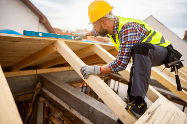 Best Roof Gutter Cleaning  in Branchville, SC