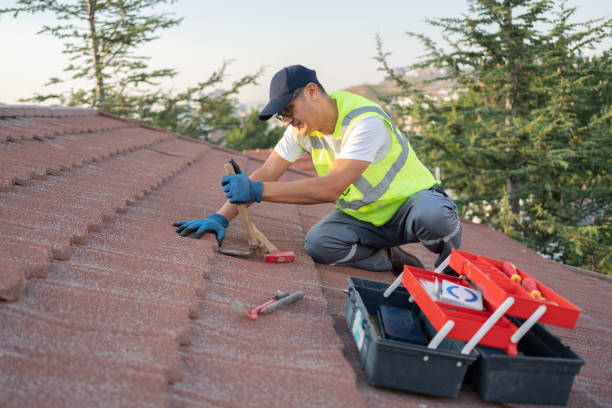 Roof Gutter Cleaning in Branchville, SC